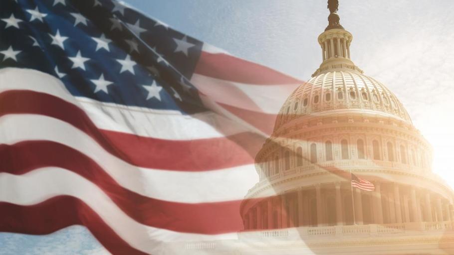 Flags - United States Representative Beth Van Duyne